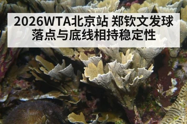 2026WTA北京站 郑钦文发球落点与底线相持稳定性